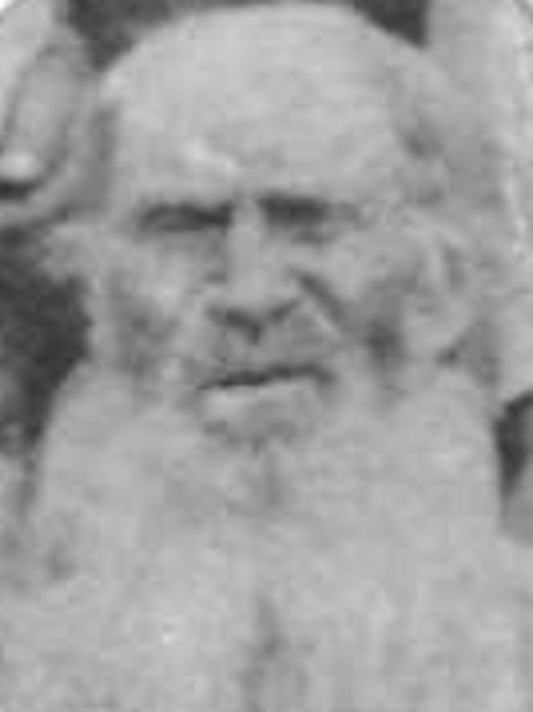 William Thomas Carrell (1819 - 1892) Profile